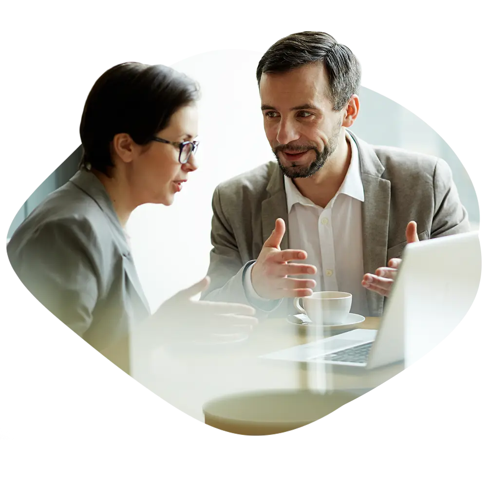 Animation et promotion des ventes / conseil